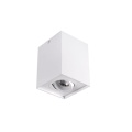 Sufitowa oprawa natynkowa GORD DLP-50-W - ruchoma - biała