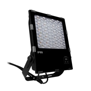 Oprawa ogrodowa RGB+CCT (RGBWW) 50W - 230VAC - D5-G50 - DMX512