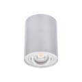 Sufitowa oprawa natynkowa BORD DLP-50-AL - ruchoma - aluminium