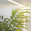 Profil aluminiowy LED HIDE10 anodowany z kloszem