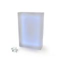 Płyta brukowa LED LedBruk 20x40x8 cm