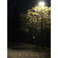 Lampa parkowa LED 45W 3700lm - MARS MLS LB 22A