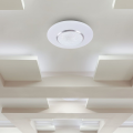 Plafon LED 60W 4200lm CCT ściemnialny z efektem dekoracyjnym i pilotem - VT-8504