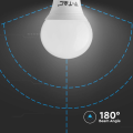 Żarówka LED E14 P45 6.5W biała zimna 6500K - VT-270