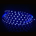 Taśma LED RGBW 300 SMD 4w1 24V 19.2W + zimna 6500K