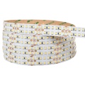 Taśma LED podwójna 1400 SMD 2835 24V 33W 128lm/W zimna 6500K