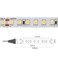 Taśma LED 640 SMD 2835 24V 12.8W 162lm/W neutralna 4000K - sekcja cięcia