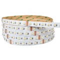 Taśma LED RGB+CCT (RGBWW) 300 SMD 5w1 24V 14.4W - (CCT - 2700K do 6500K) - hermetyczna IP54