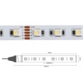 Taśma LED RGBW 300 SMD 4w1 24V 19.2W + zimna 6500K - sekcja cięcia