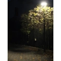 Lampa parkowa LED 45W 3700lm - MARS - MLS-LB-H4400