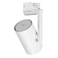 Lampa szynowa LED 3-fazowa TIMOR 30W 3000K/4000K - ML1116