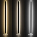 Lampa elewacyjna LED WOW - 30W CCT 150cm - ML1725