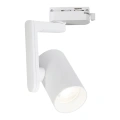 Lampa szynowa 1-fazowa TIMOR 1xGU10 - ML2284