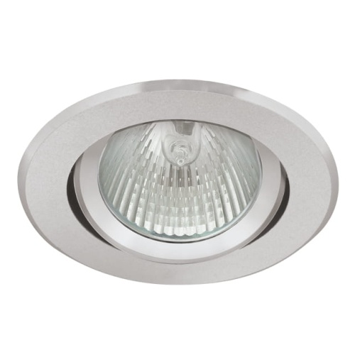 Sufitowa oprawa RADAN CT-DTO50 - ruchoma - aluminium