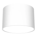 Lampa sufitowa DIXIE 1xGX53 - Biały - MLP7538