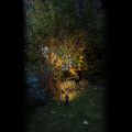 Lampa ogrodowa - PRIT TO 3446