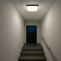 Plafon LED - NEMO BLACK 36W 4000K - ML1836 -realizacja