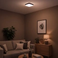 Plafon LED - NEMO BLACK 11W 4000K - ML1835 - realizacja-