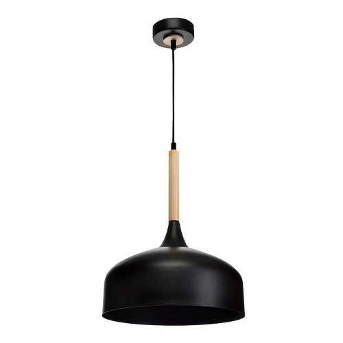 Lampa wisząca - TAYLOR - czarny - 1xE27 - MLP6218