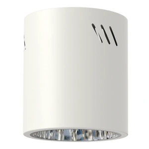 Lampa sufitowa - SPOT GEORGE - biały - 1xE27 - ML0479