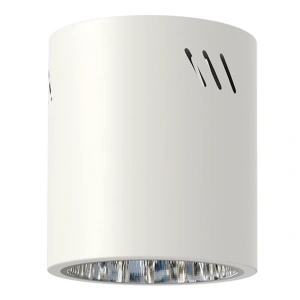 Lampa sufitowa - SPOT GEORGE XL - biały - 1xE27 - ML0481