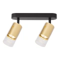 Lampa sufitowa - RICKY SPOT - złoty - 2xGU10 - ML0691