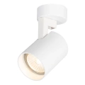 Lampa sufitowa - VOLF SPOT - biały - 1xGU10 - ML0676