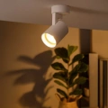 Lampa sufitowa - VOLF SPOT - biały - 1xGU10 - ML0676 - realizacja