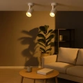 Lampa sufitowa - VOLF SPOT - biały - 1xGU10 - ML0676 - realizacja