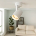 Lampa sufitowa - VOLF SPOT - biały - 1xGU10 - ML0676