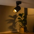 Lampa sufitowa - VOLF SPOT - czarny - 1xGU10 - ML0675 - realizacja