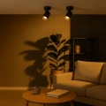 Lampa sufitowa - VOLF SPOT - czarny - 1xGU10 - ML0675 - realizacja