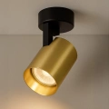Lampa sufitowa - VOLF SPOT - złoty - 1xGU10 - ML0677 - realizacja