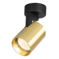 Lampa sufitowa - VOLF SPOT - złoty - 1xGU10 - ML0677