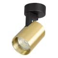 Lampa sufitowa - VOLF SPOT - złoty - 1xGU10 - ML0677
