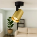 Lampa sufitowa - VOLF SPOT - złoty - 1xGU10 - ML0677 - realizacja