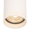 Lampa sufitowa - PIPE RING SPOT - biały - 1xGU10 - ML2068