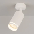 Lampa sufitowa - PIPE RING SPOT - biały - 1xGU10 - ML2068