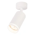 Lampa sufitowa - PIPE RING SPOT - biały - 1xGU10 - ML2068
