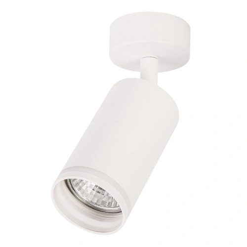 Lampa sufitowa - PIPE RING SPOT - biały - 1xGU10 - ML2068