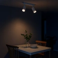 Lampa sufitowa - PIPE RING SPOT - biały - 2xGU10 - ML2070 - realizacja