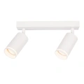 Lampa sufitowa - PIPE RING SPOT - biały - 2xGU10 - ML2070