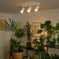Lampa sufitowa - PIPE RING SPOT - biały - 3xGU10 - ML2072 - realizacja