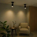 Lampa sufitowa - PIPE RING SPOT - czarny - 1xGU10 - ML2067 - realizacja