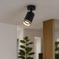 Lampa sufitowa - PIPE RING SPOT - czarny - 1xGU10 - ML2067 - realizacja