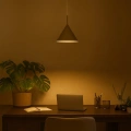 Lampa wisząca CAPITAL Kaszmirowy 1xGX53 - Ø32cm - MLP2469- realizacja