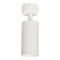 Lampa sufitowa - MICA SPOT - biały - 1xGU10 - ML6087