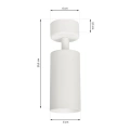 Lampa sufitowa - MICA SPOT - biały - 1xGU10 - ML6087 - wymiary