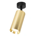 Lampa sufitowa - MICA SPOT - złoty - 1xGU10 - ML1143