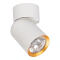 Lampa sufitowa - ANDY SPOT - biały/złoty - 1xGU10 - ML9932
